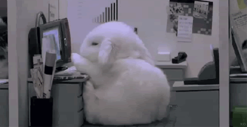 photo tumblr_lyw8qilJXc1qghzpno1_500.gif