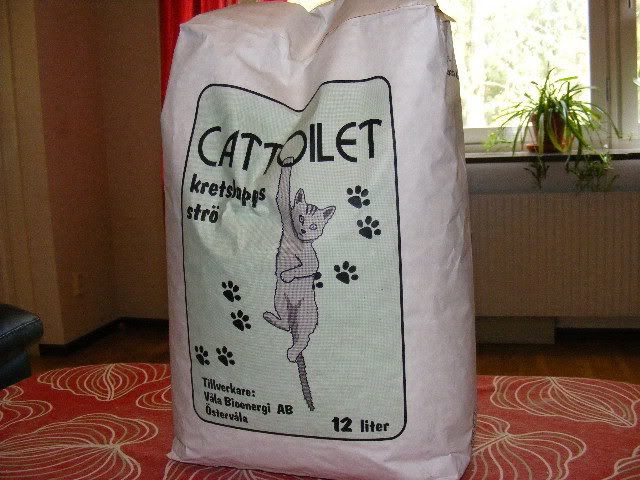 Bild