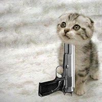cat_gun.jpg