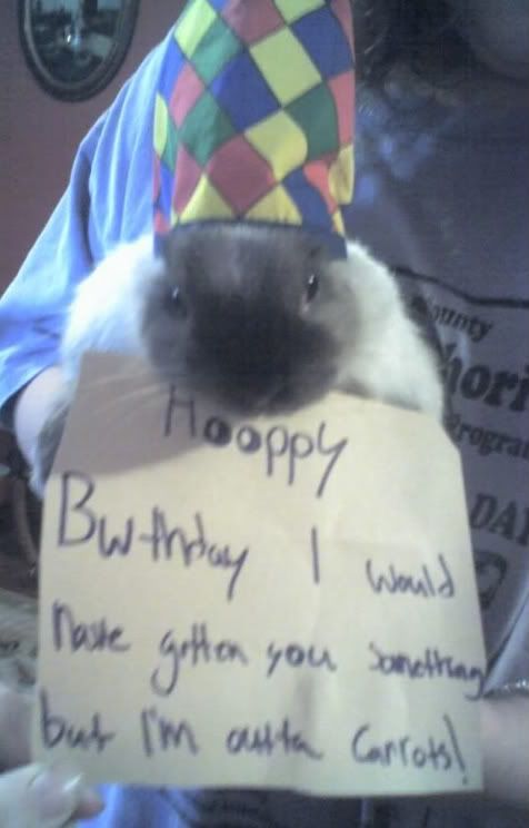 Birthday bunny