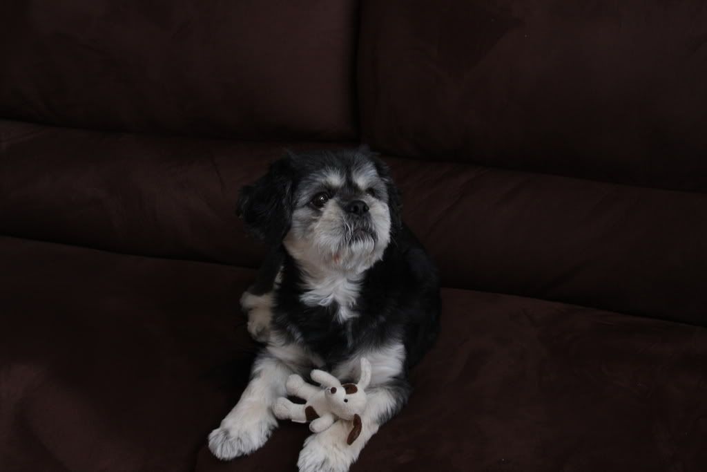 IMAGE: http://i116.photobucket.com/albums/o40/roach53_photo/IMG_1596.jpg