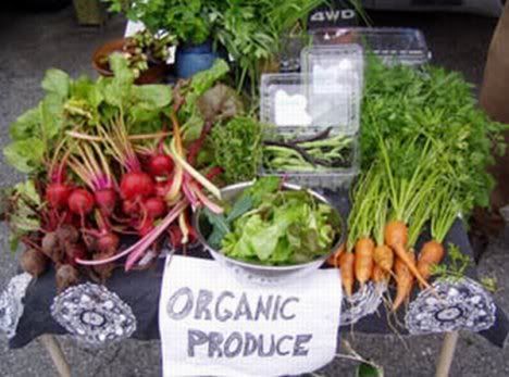 green-basics-organic-produce-stand.jpg