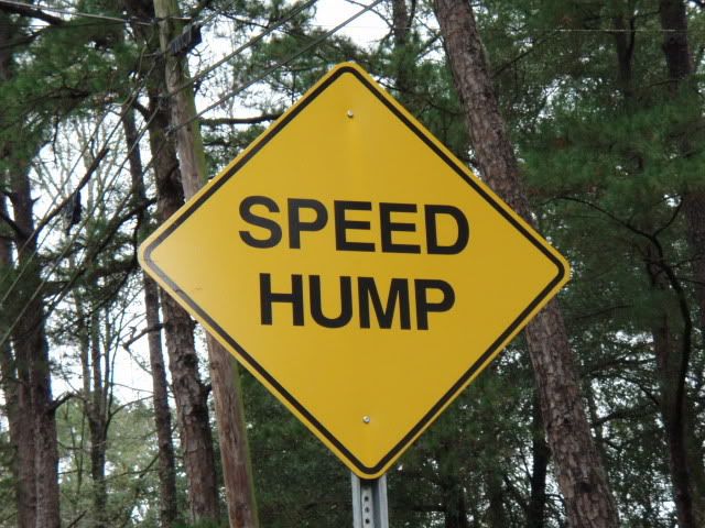 SPEED HUMP!! Pictures, Images and Photos