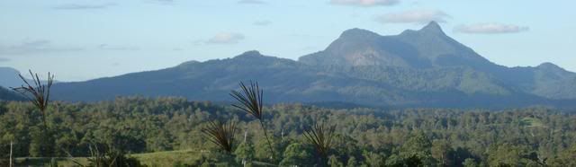 View of Mount Warning.. Northern NSW, Australia