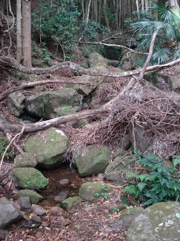 On the way to minamurra falls - December 2008