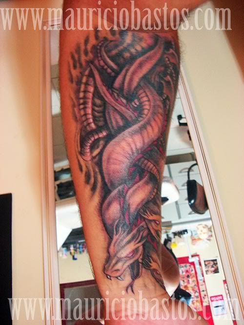 Tags cobras tattoo tatuagem