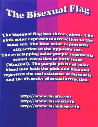 Meaning of Bi Flag