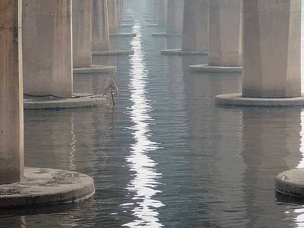 pictorial beauty in The Host