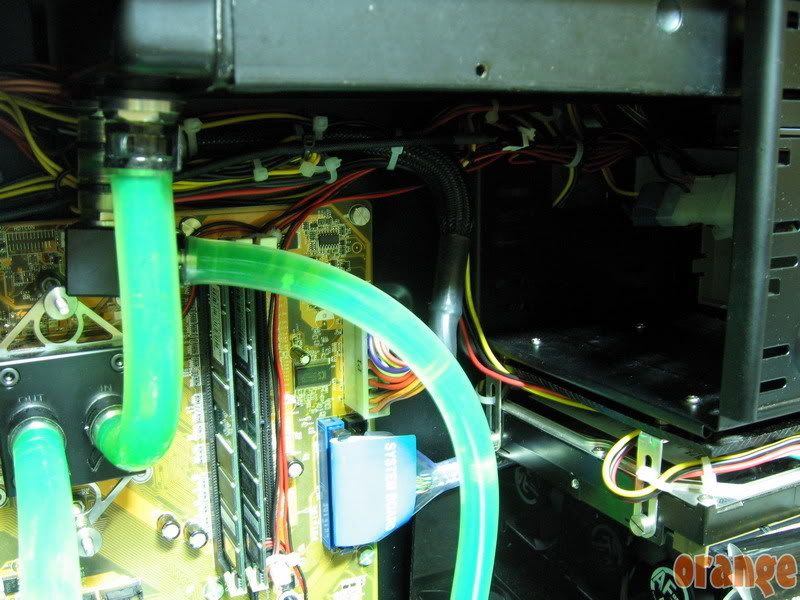 583540.jpg