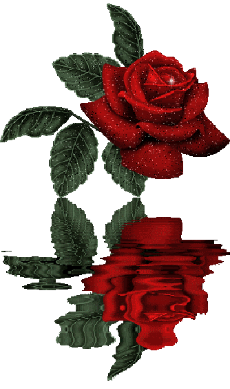 rose.gif roses image by kacha222