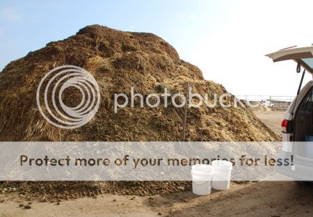  photo manure-pile.jpg