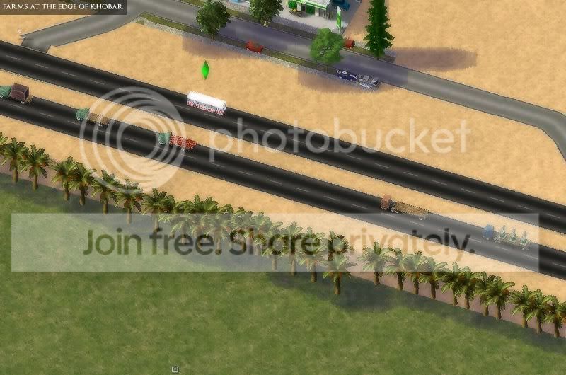 bus6.jpg